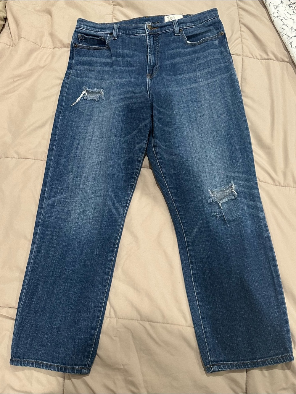 Cosmic Blue Distressed Blue Jeans